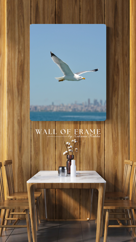 Seagul of the Bosphorous - Wall Of Frame